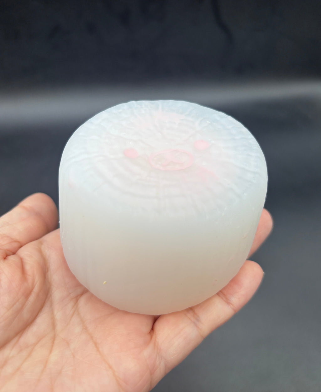 MATTE taba (frozen butter but less sticky) bear log taba squishy