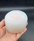 MATTE taba (frozen butter but less sticky) bear log taba squishy